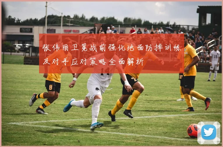 张伟丽卫冕战前强化地面防摔训练及对手应对策略全面解析